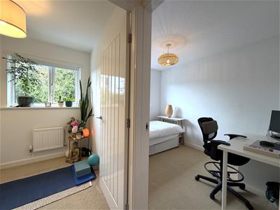 Picture 23